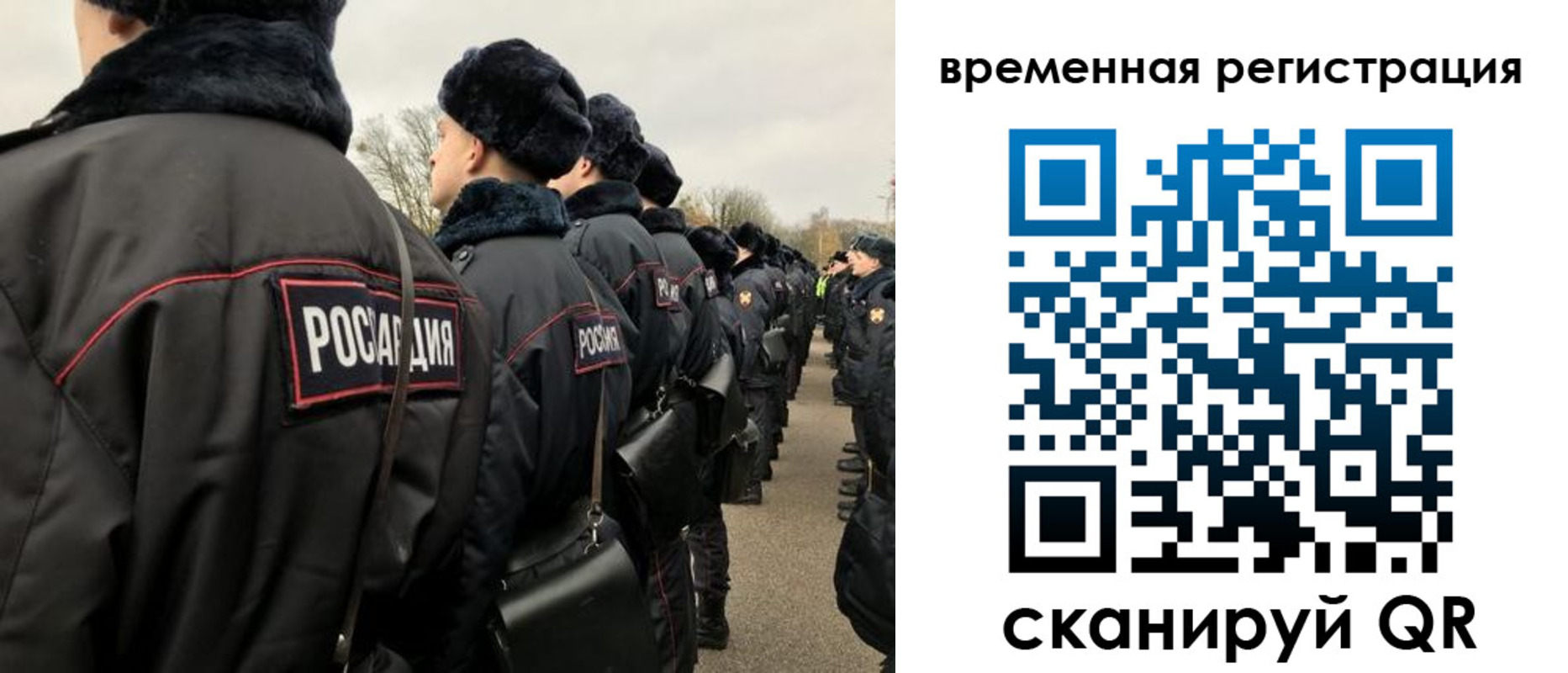 прописка гарантия в Ясном